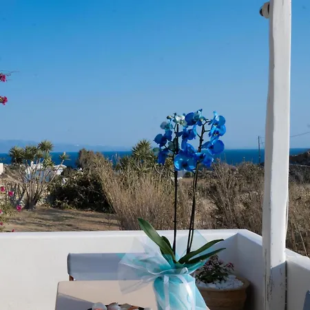 Traditional Mykonian House With Sea View! 別荘 *